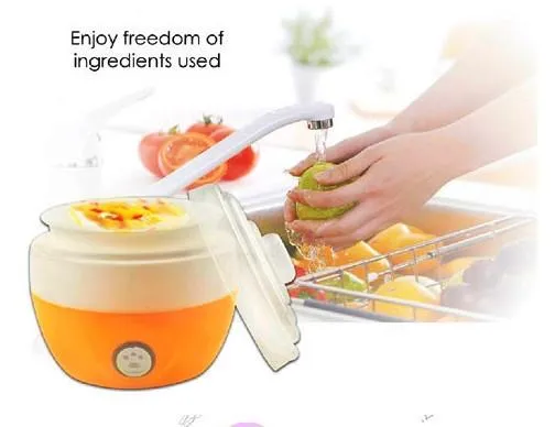 1L Portable Mini Fruit Yoghurt Maker