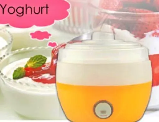 1L Portable Mini Fruit Yoghurt Maker