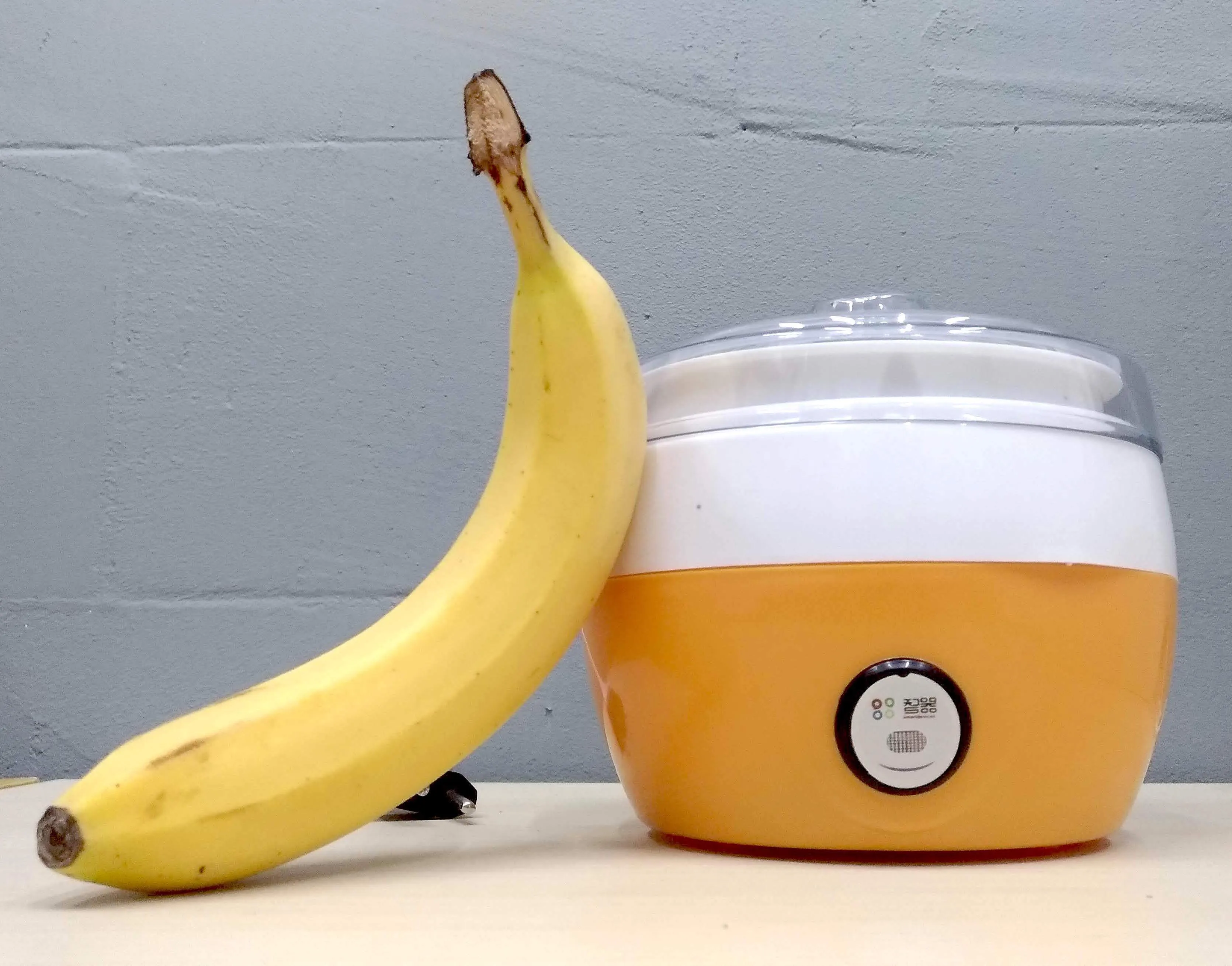 1L Portable Mini Fruit Yoghurt Maker