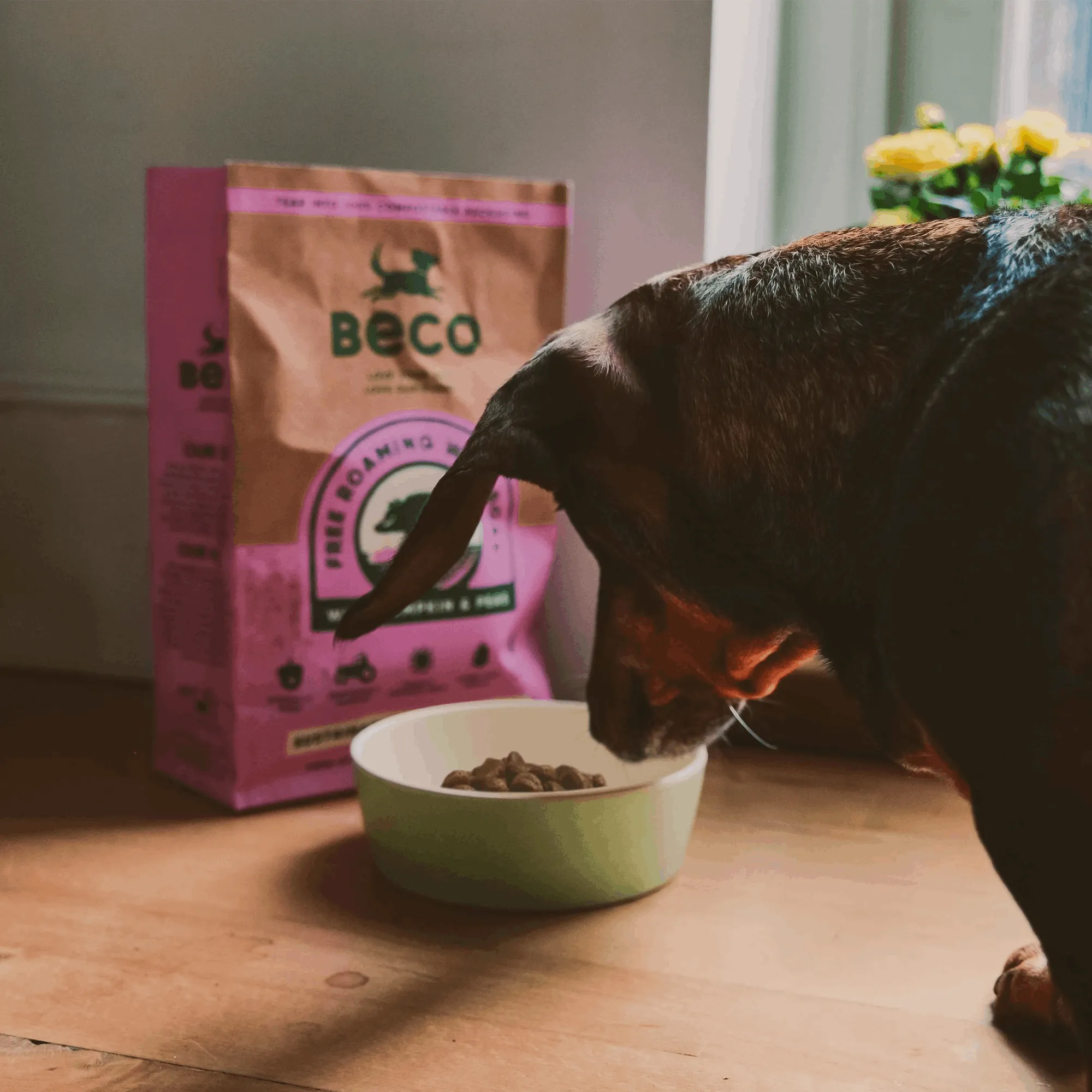 Beco Wild Boar with Pumpkin & Broccoli Dry Adult Dog Food