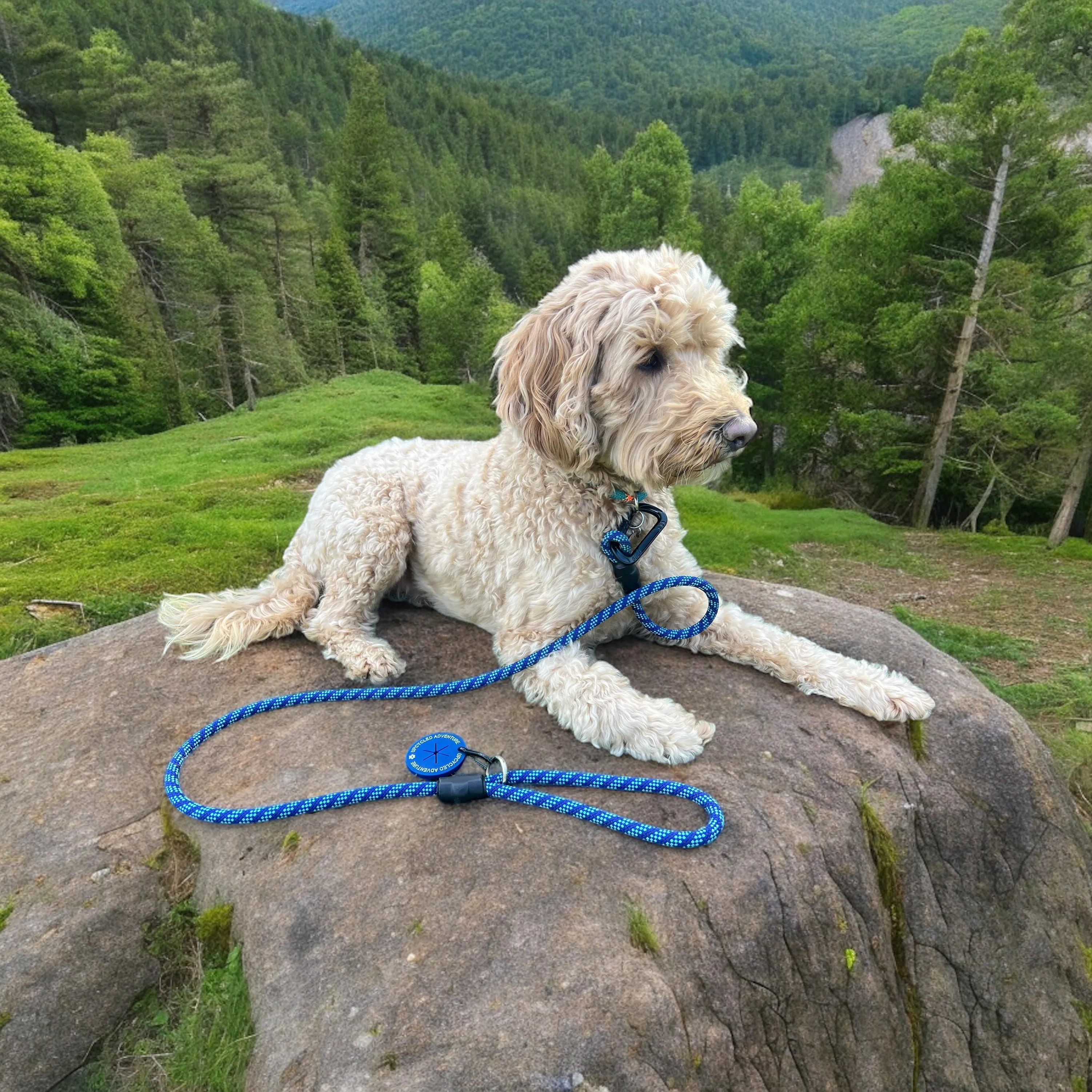 Blue Patterns Climbing Rope Leashes