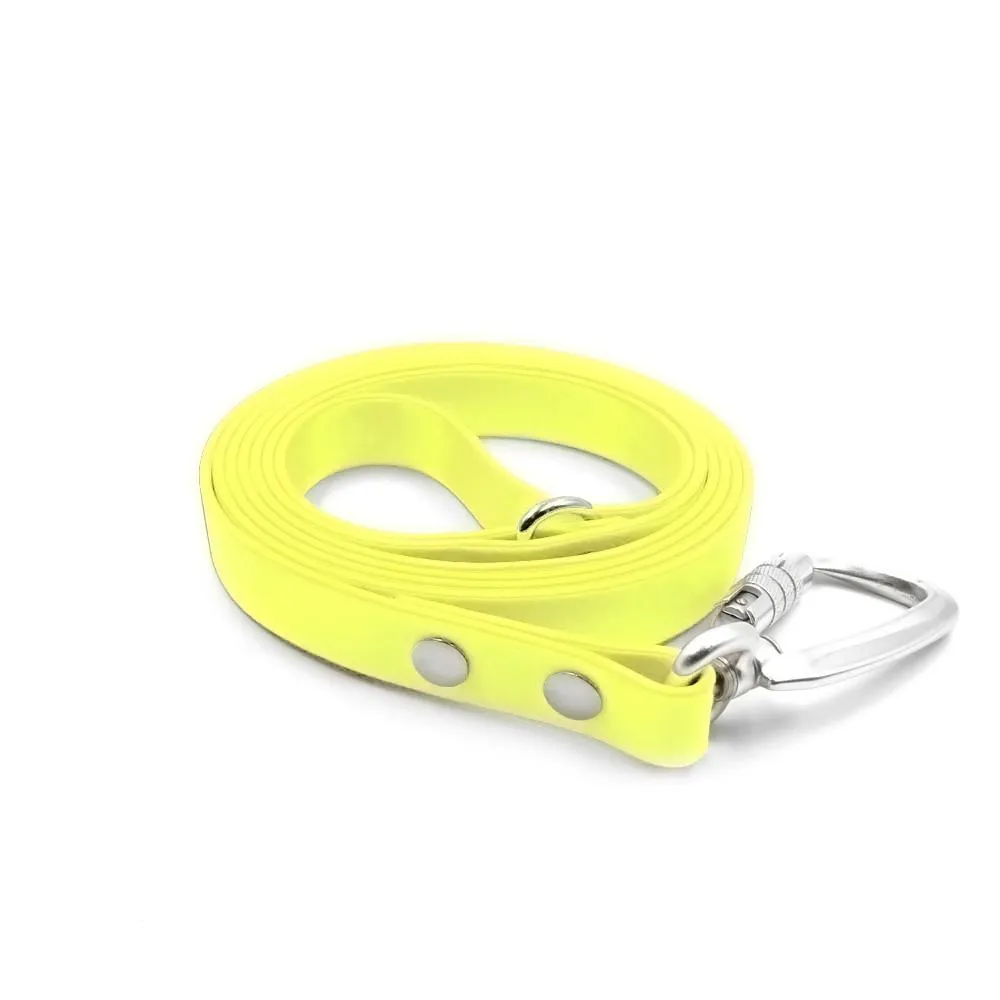 Chew Proof Tuff Leash 6'