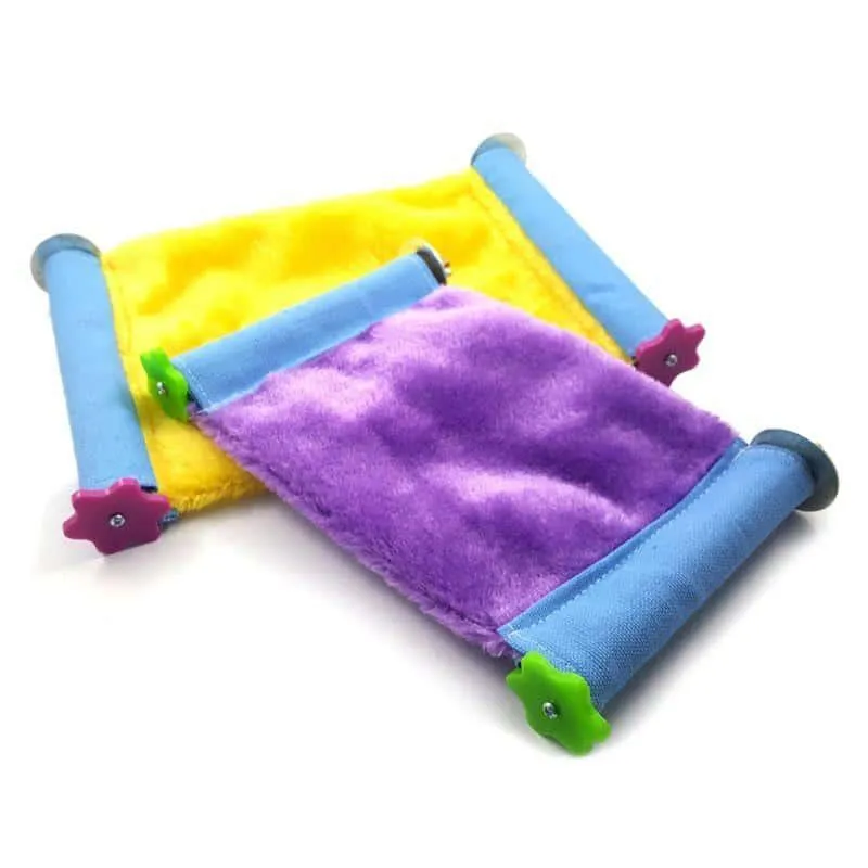 Color Block Bed for Small Pets