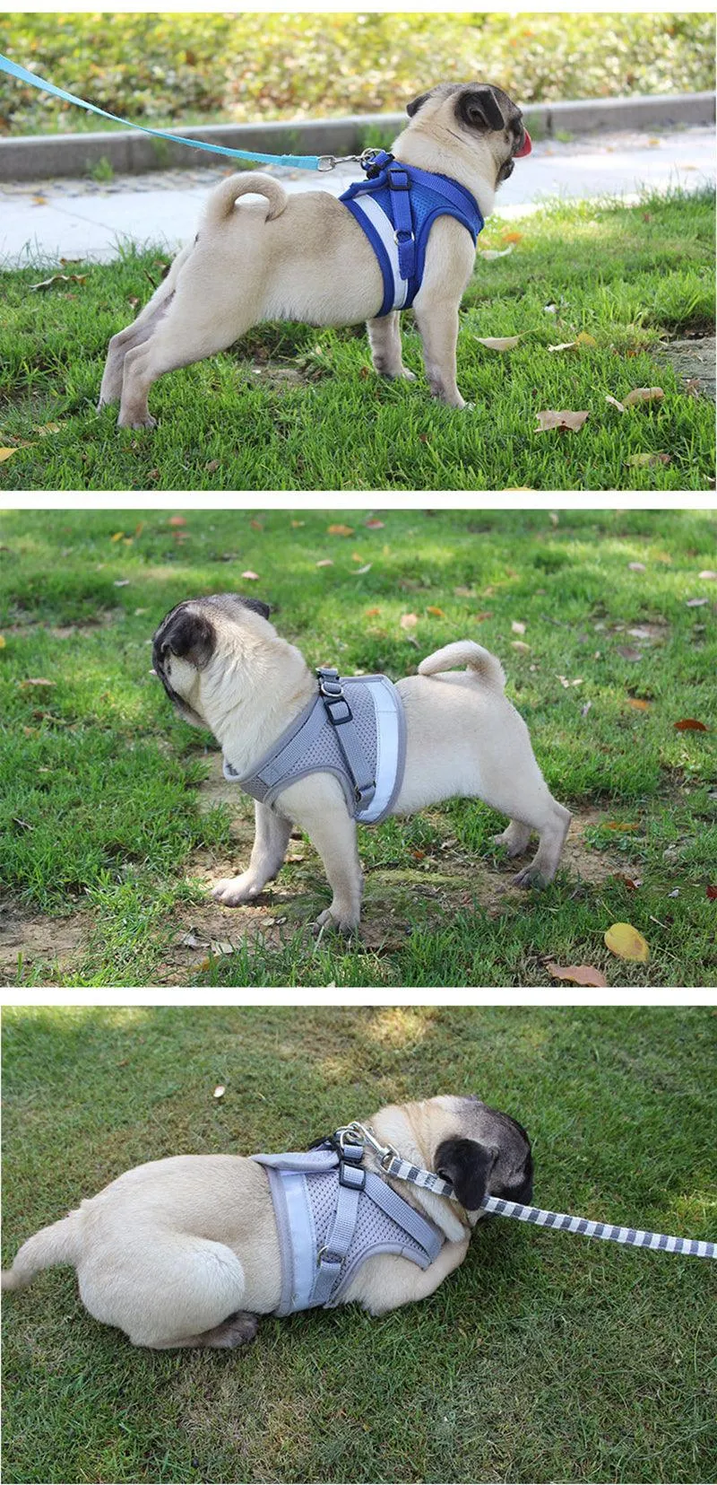 Dog's Reflective Harness with Leash