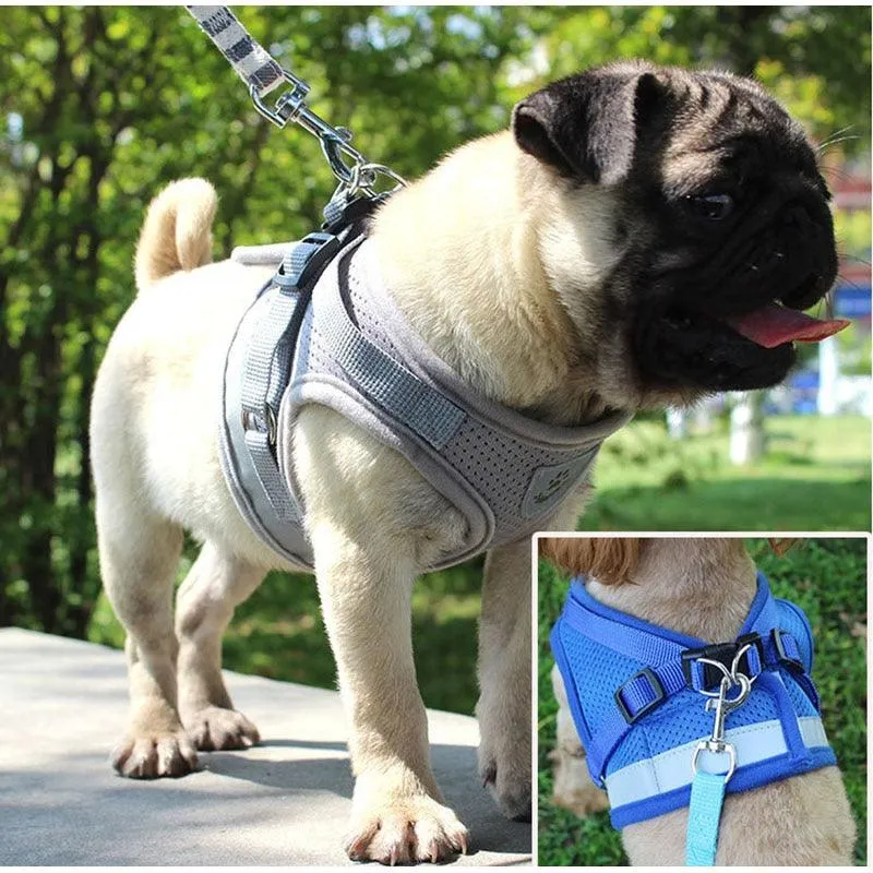 Dog's Reflective Harness with Leash