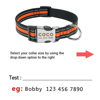 Dog's Striped Reflective Collar