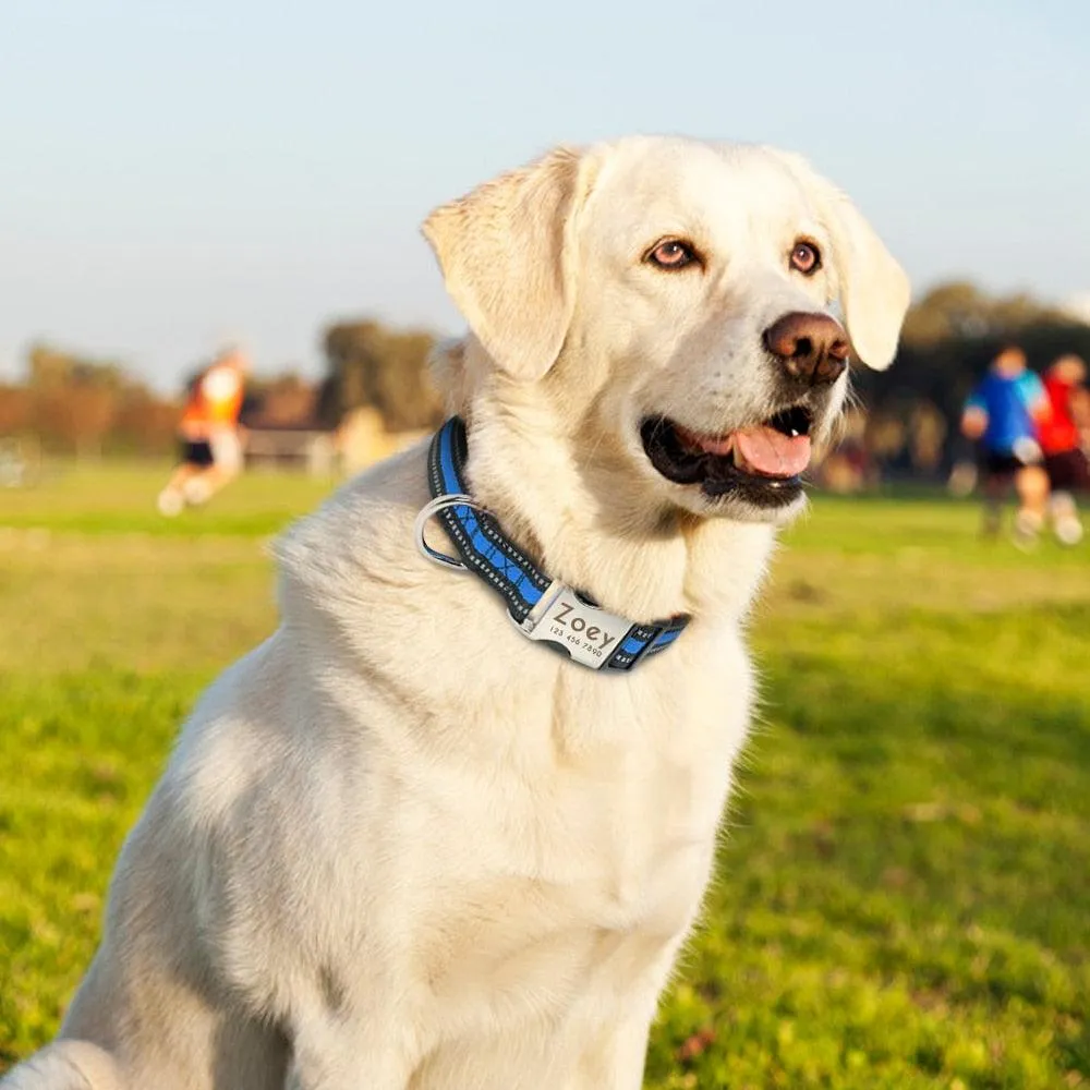 Dog's Striped Reflective Collar