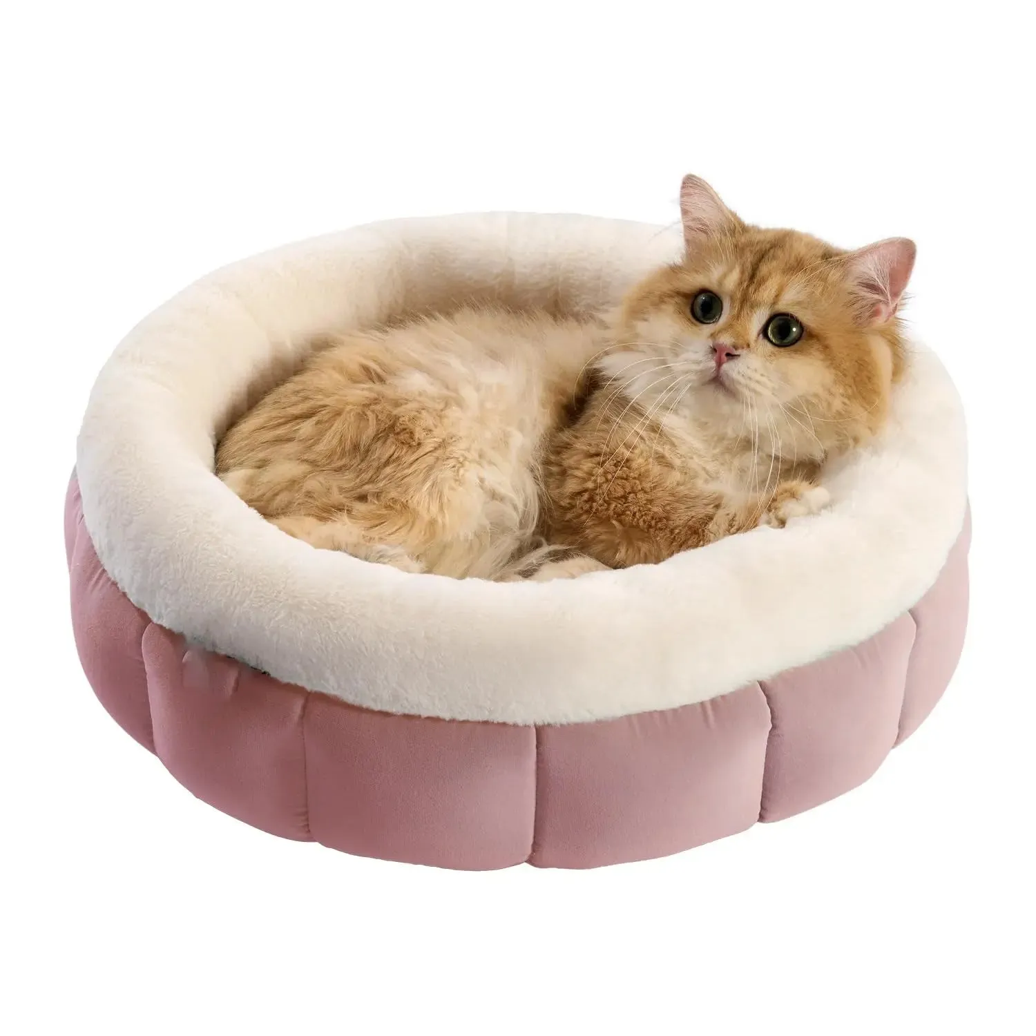 Donut Dog & Cat Beds designed to offer maximum relaxation
