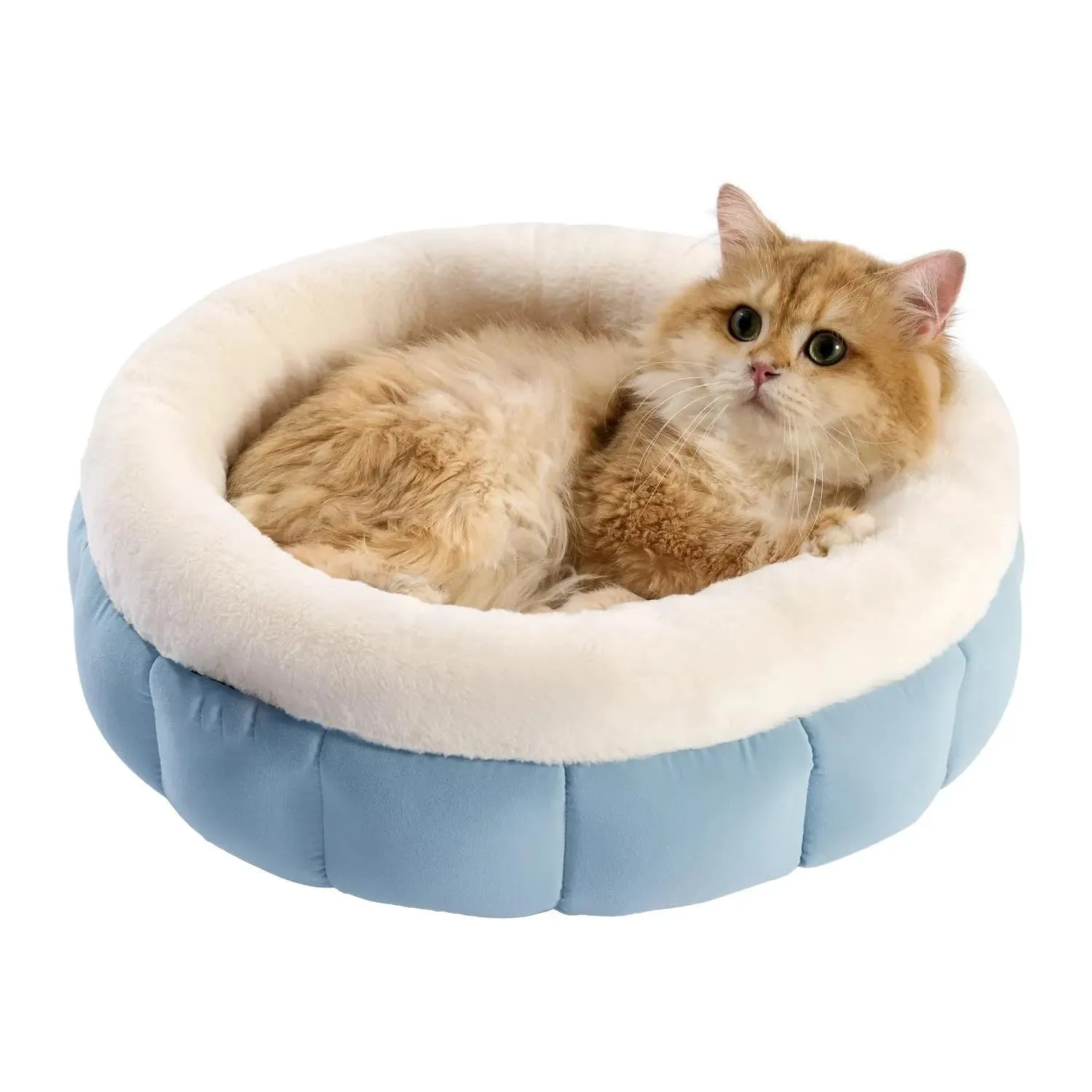 Donut Dog & Cat Beds designed to offer maximum relaxation