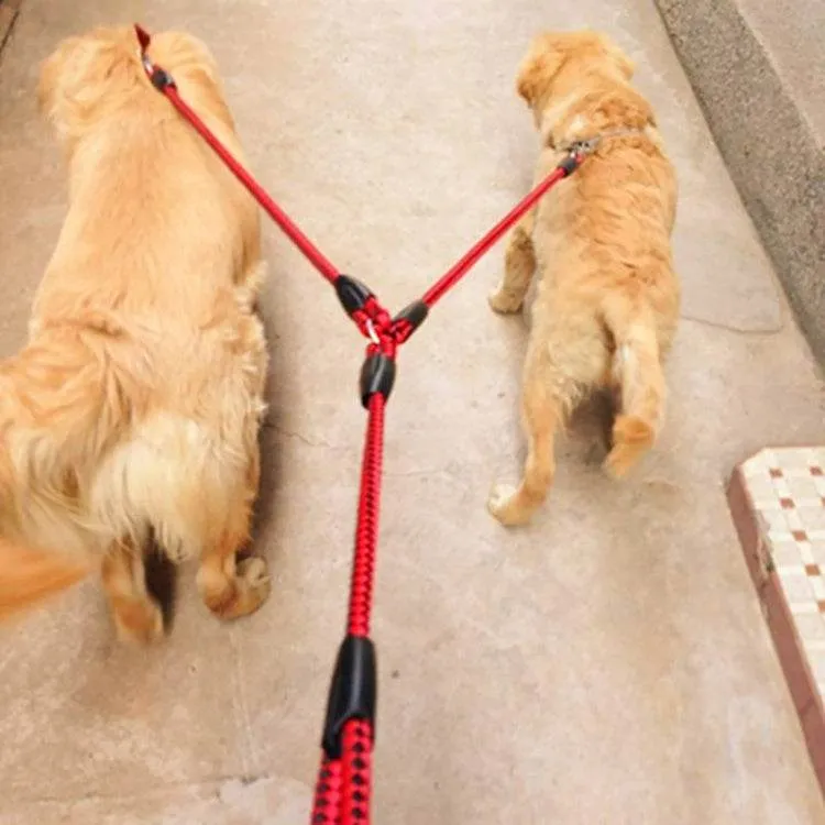 Dual Dog Leash with Tangle-Free Design for Easy Walking