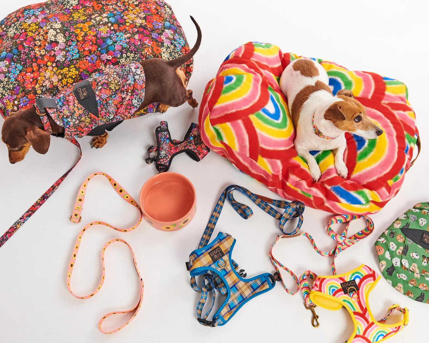 Kip & Co Sunflower Sunshine Dog Lead