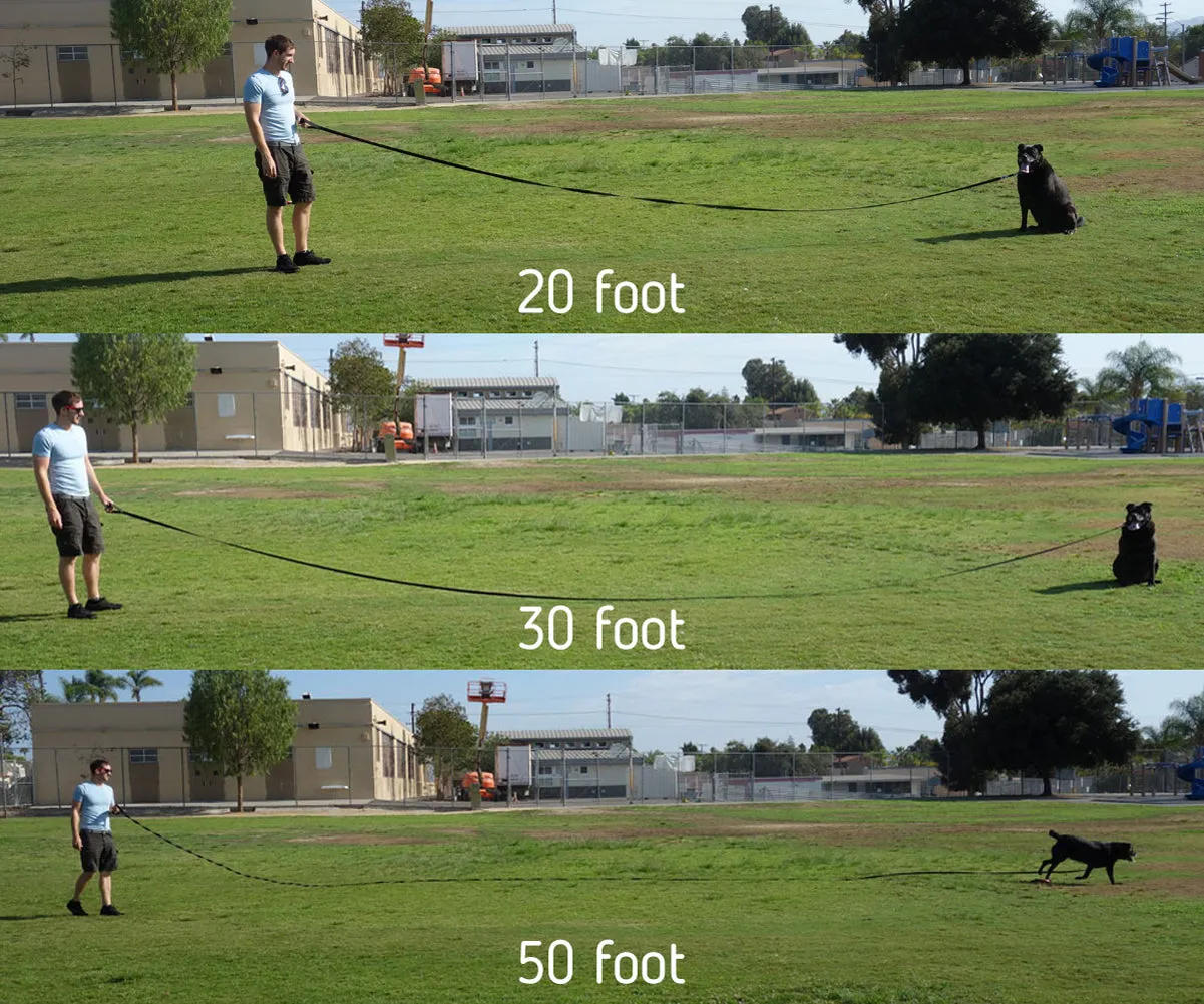 Long Trainer - 20 Foot 3/4 Inch Nylon Dog Training Leash with Storage Strap