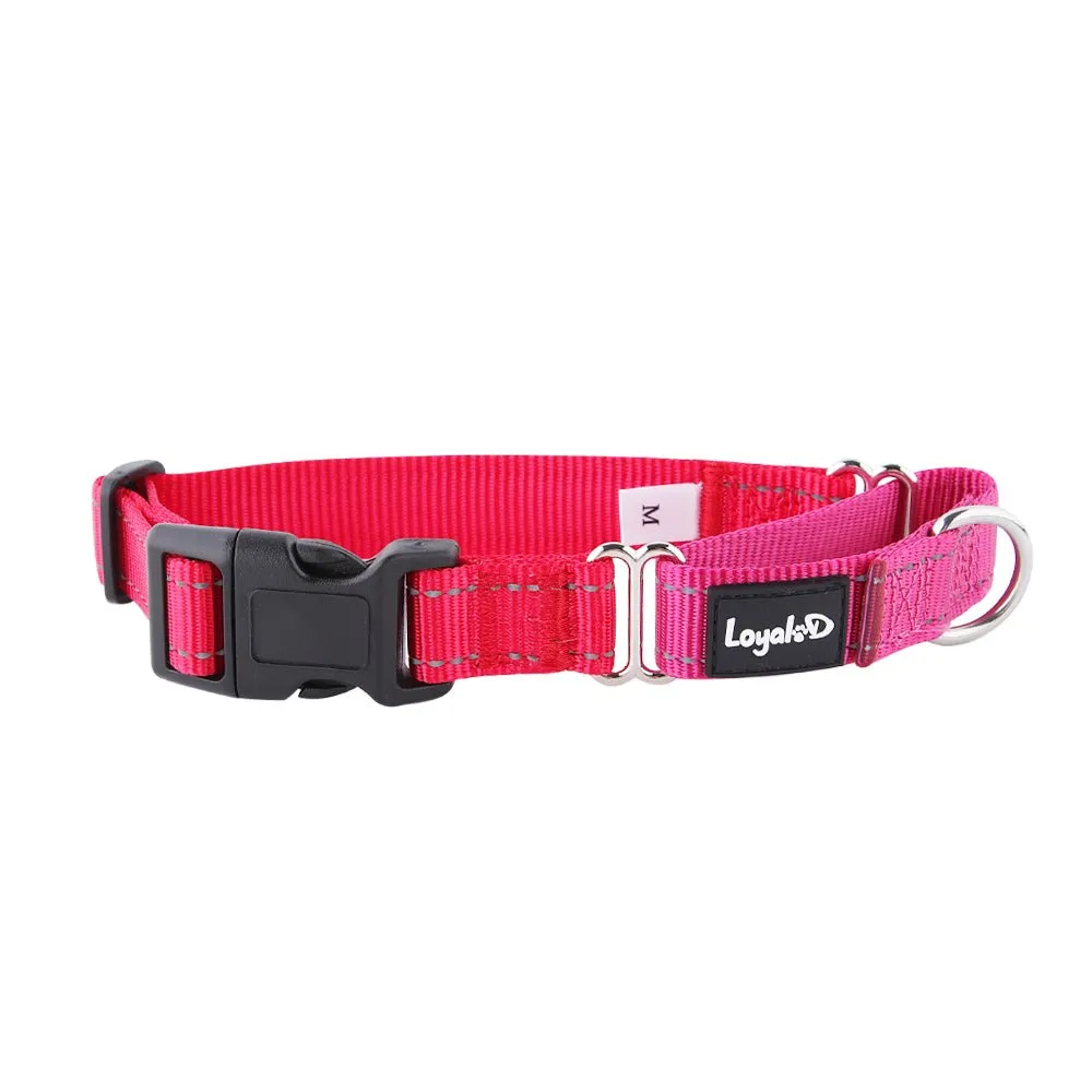 Loyal.D Buckle Martingale Reflective Dog Collar