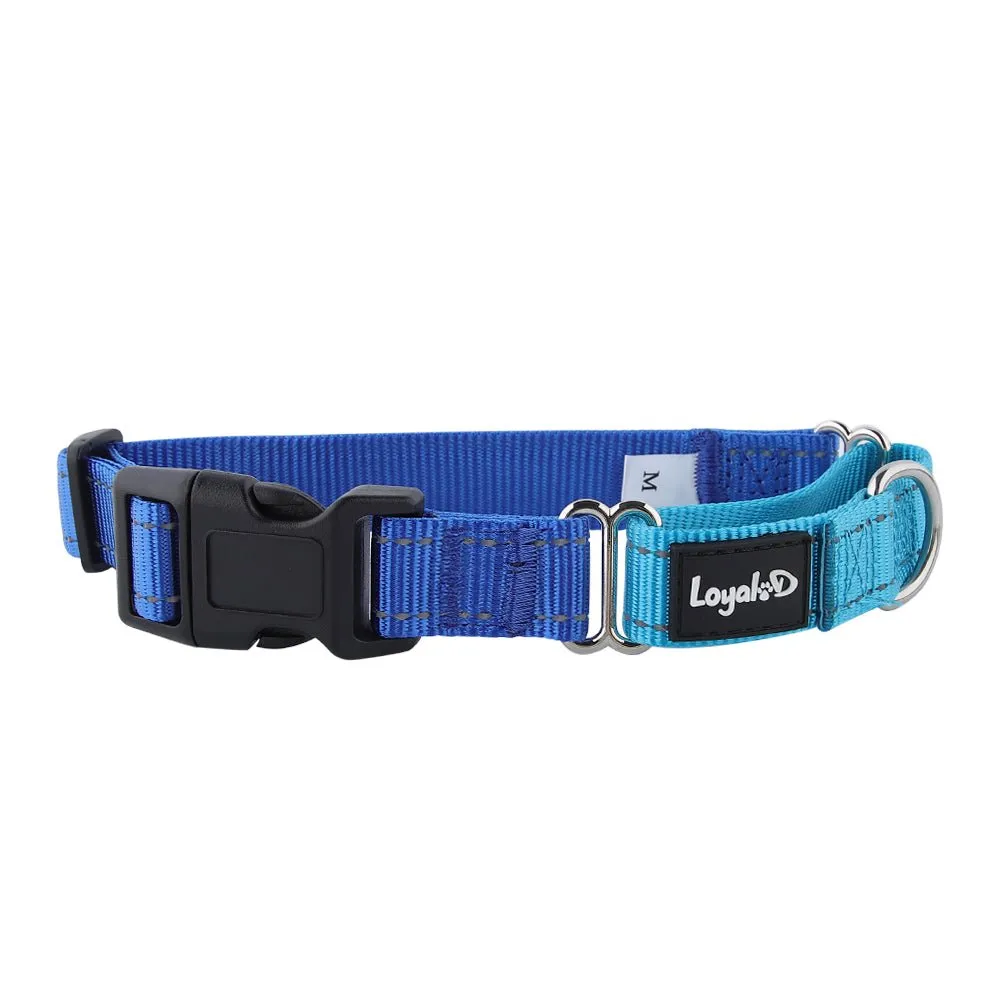 Loyal.D Buckle Martingale Reflective Dog Collar