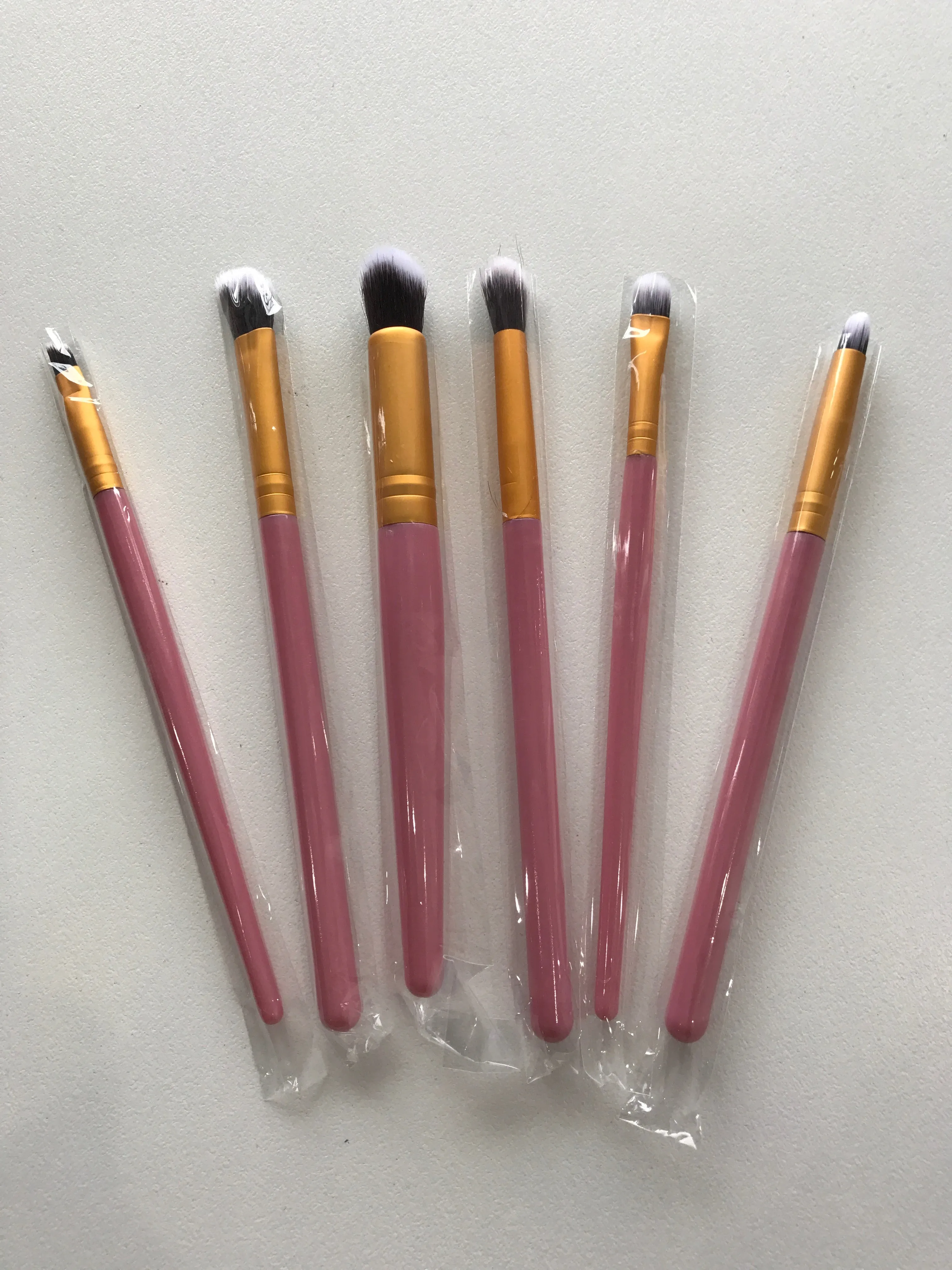Make up Brushes  6 Piece Kit