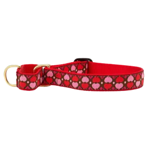 Martingale Collar | All Hearts