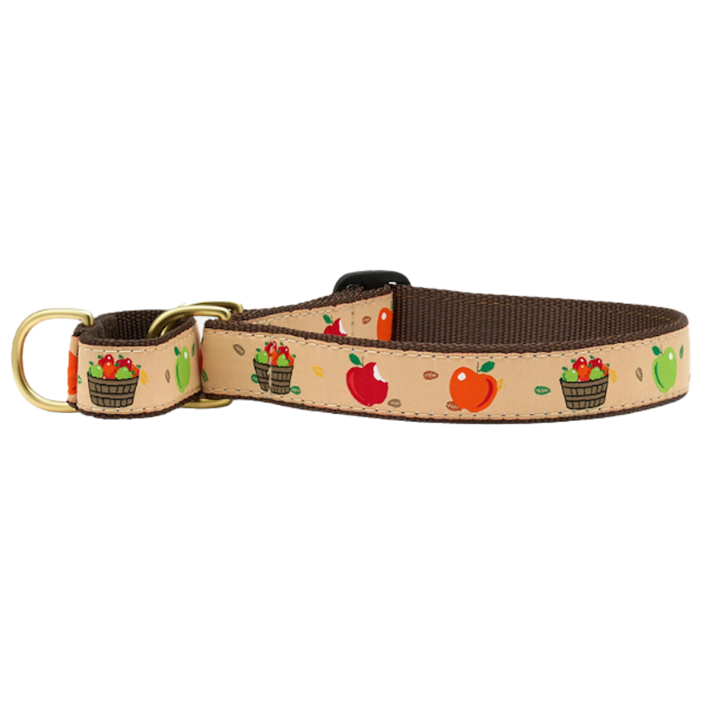 Martingale Collar | Apple Of My Eye