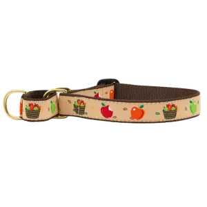 Martingale Collar | Apple Of My Eye