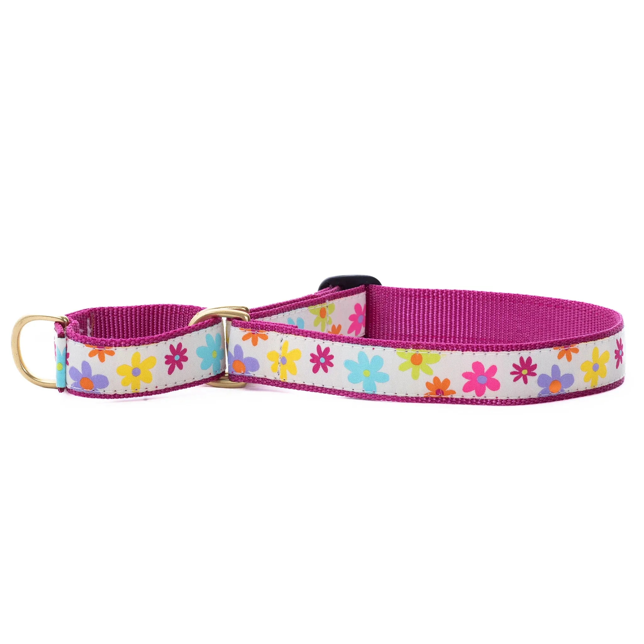 Martingale Collar | Spring Fever
