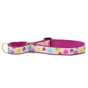 Martingale Collar | Spring Fever
