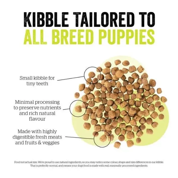Now Fresh Turkey, Salmon & Duck Recipe Small Breed Puppy Dry Dog Food