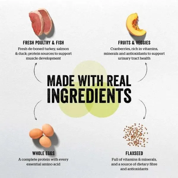 Now Fresh Turkey, Salmon & Duck Recipe Small Breed Puppy Dry Dog Food