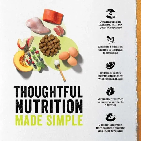 Now Fresh Turkey, Salmon & Duck Recipe Small Breed Puppy Dry Dog Food