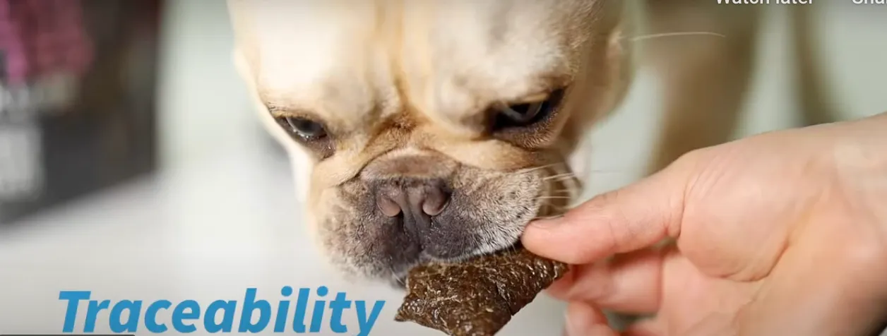 Raised Right Pets - Meat Bites - Turkey Liver Dog Treats