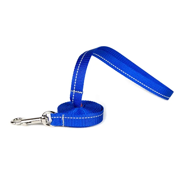 RC Pets Royal Blue Primary Kitty Leash 6'