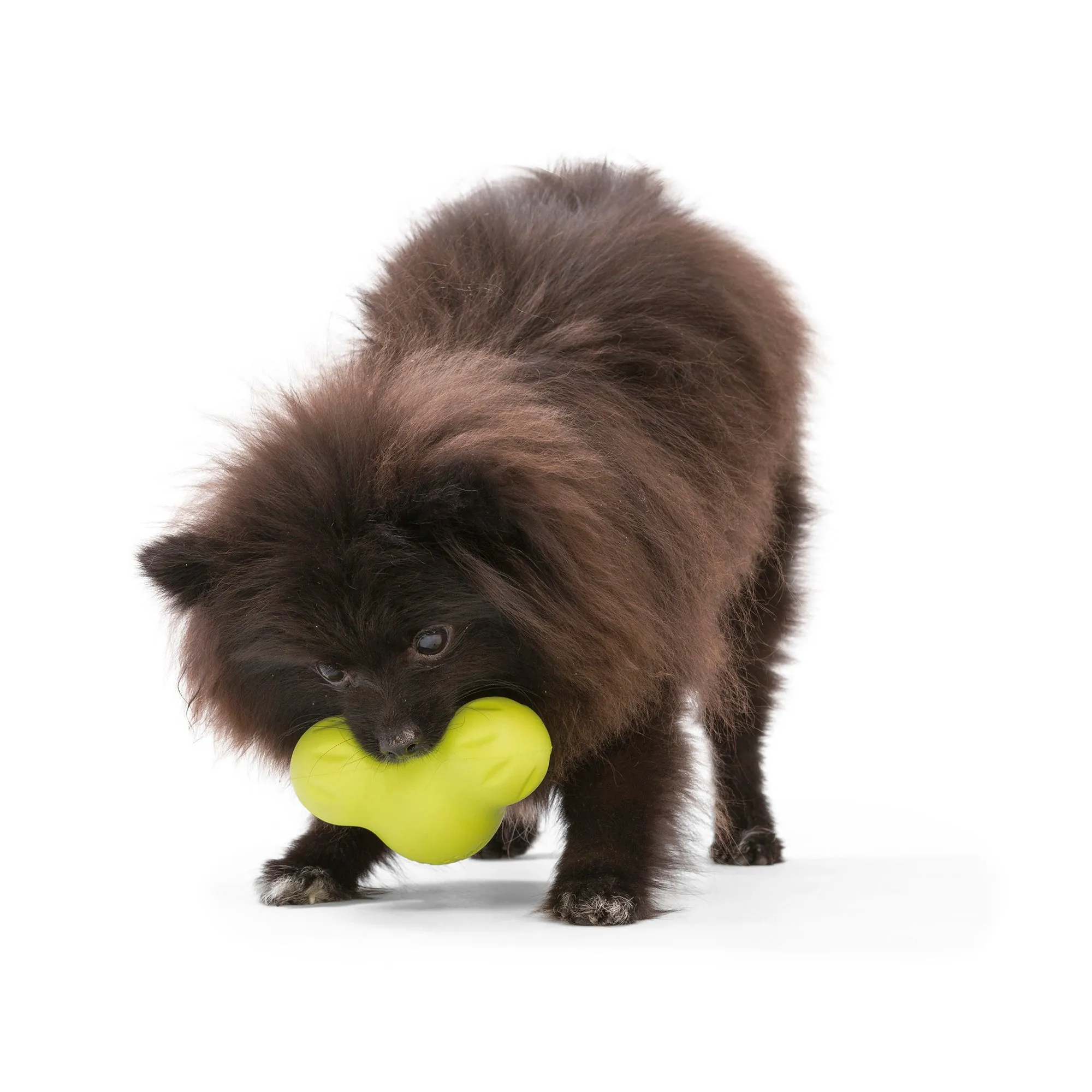 Tux Treat Toy