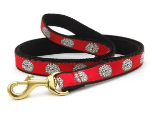 UpCountry Mums Lead