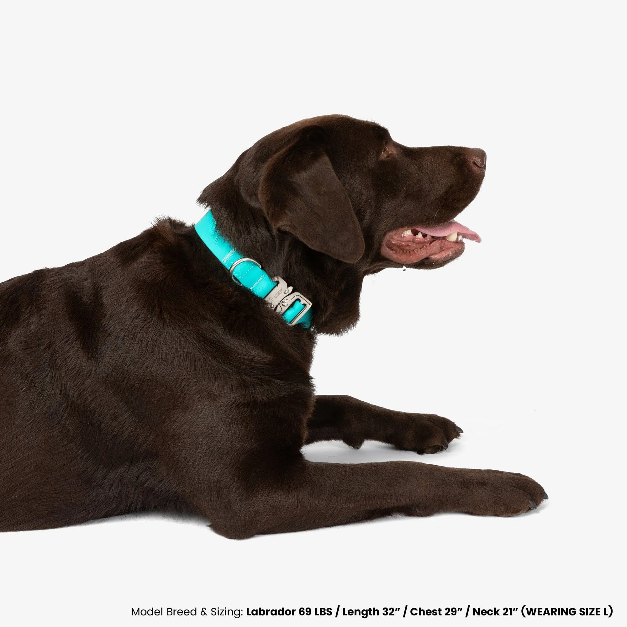 Waterproof Poly-Flex Sport Dog Collar - Aqua Blue