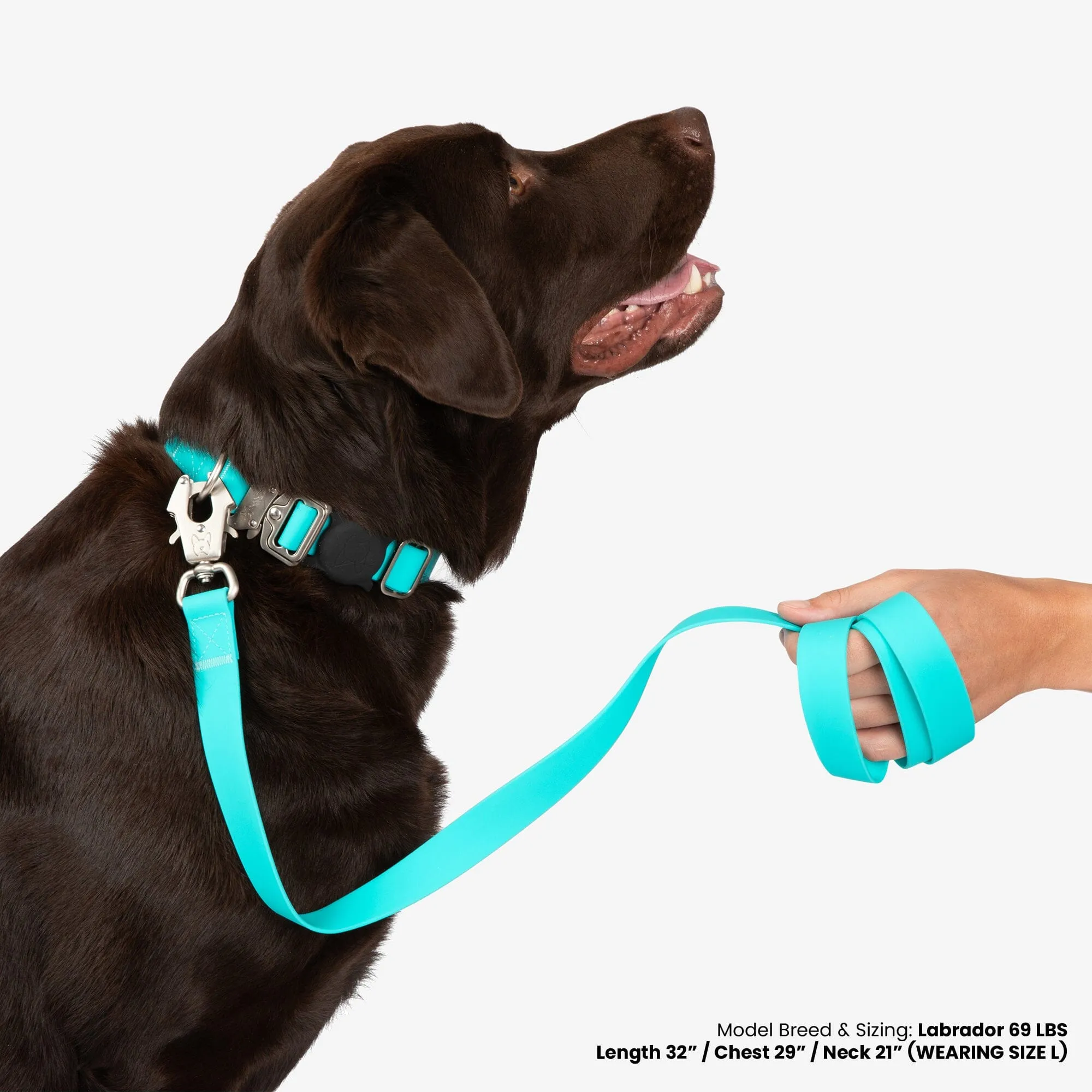 Waterproof Poly-Flex Sport Dog Collar - Aqua Blue