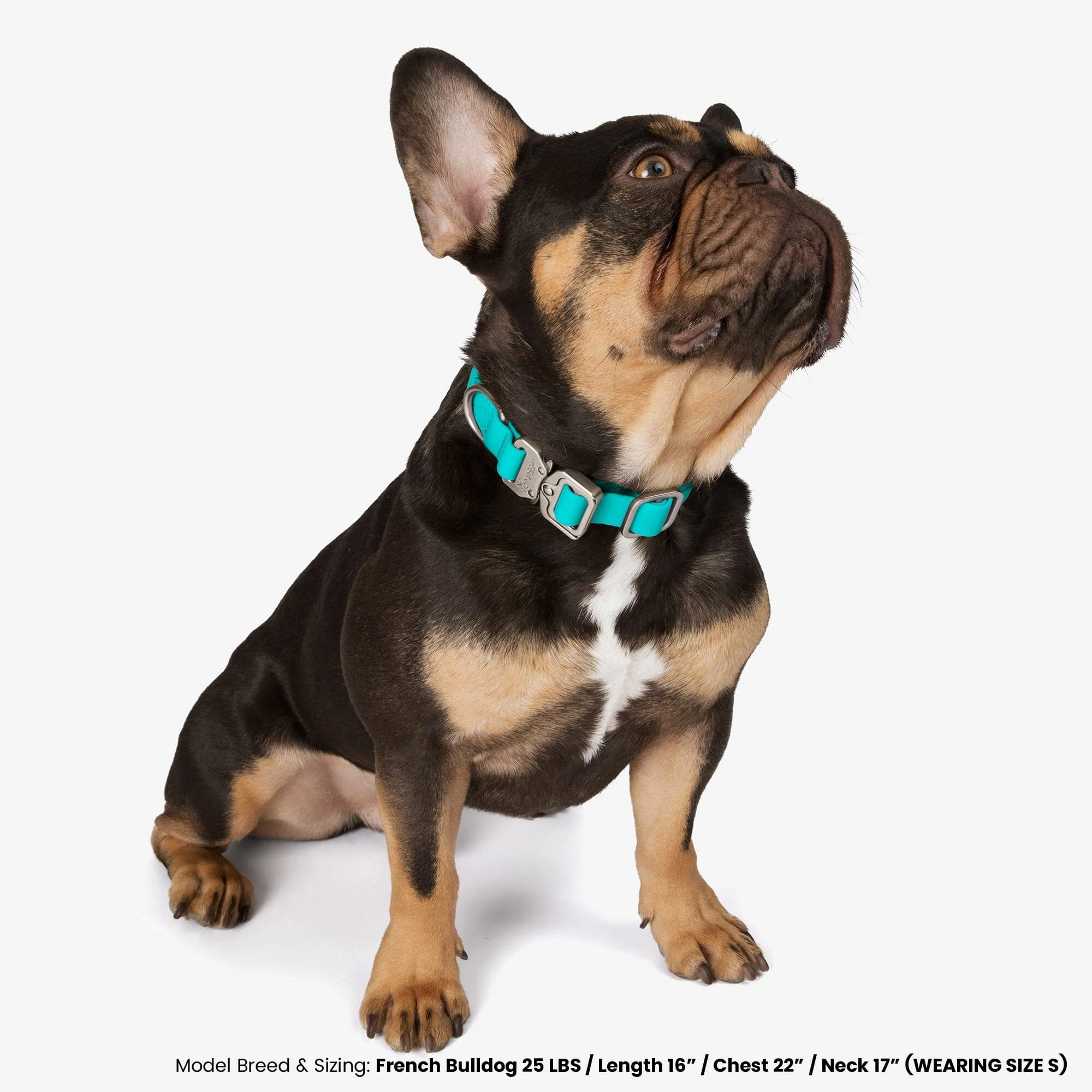 Waterproof Poly-Flex Sport Dog Collar - Aqua Blue