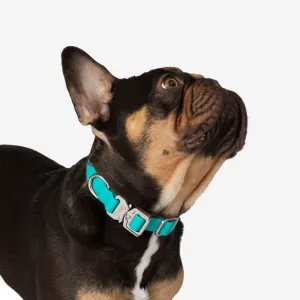 Waterproof Poly-Flex Sport Dog Collar - Aqua Blue